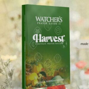 Harvest Strategic Prayer Bullets